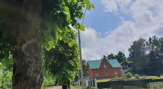 Гостевой дом Дом Классика на Пушкинской