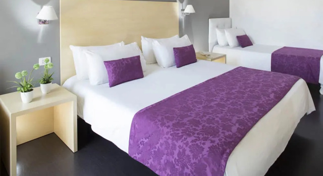 Трёхместный номер Basic Club Meeting Hotel