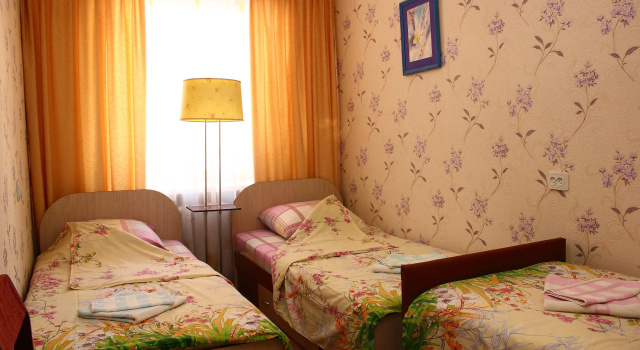 Апартаменты c 1 комнатой с балконом и с красивым видом из окна Elena Guest House