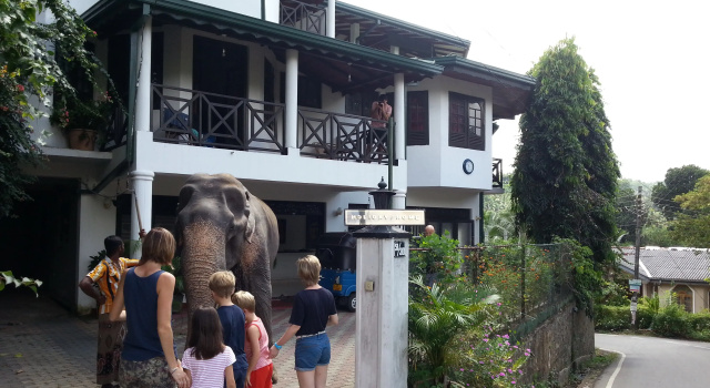 Гостевой дом Kandy Holiday Home, Забронировать Гостевой дом Гостевые дома Канди, рядом с British Garrison Cemetery, Гостевой дом