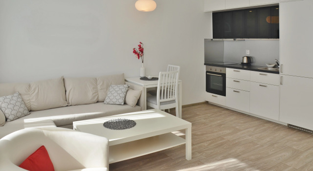 Reunion Apartments, Rezervați Apartament Osecna Liberec Region