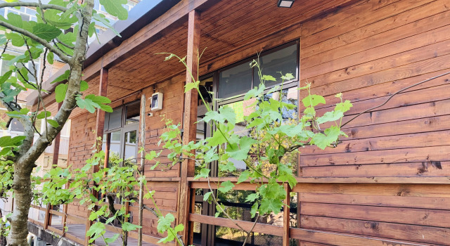 Komfortnyy domik u morya Guest House, Varaa Matkakoti New Athos Gudauta district