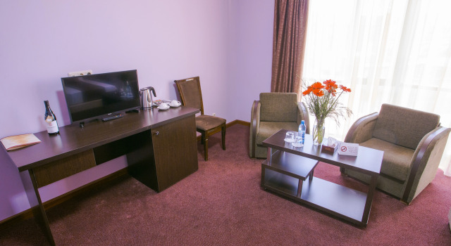Premium Tweepersoonskamer uitzicht op de stad Ani Central Inn Hotel