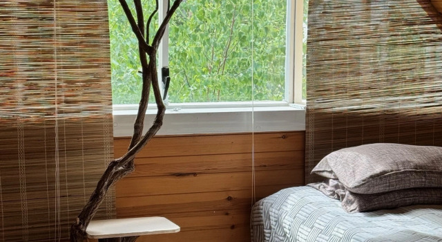 Uyutny Dom v Lesu Pyatimestny M/D Private House, Đặt Nhà nghỉ dưỡng Nhà tranh ở Buryatia, Nhà tranh