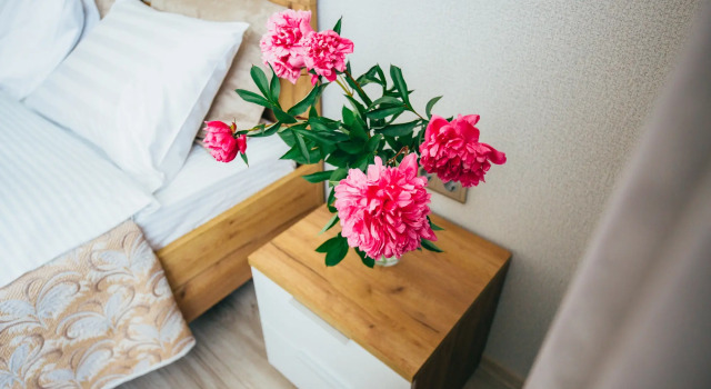 More&More V Tsentre Goroda Flat, Book Apartment Zelenogradsk 
