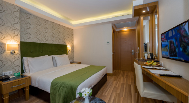 Двухместный номер Standard Bizim Hotel