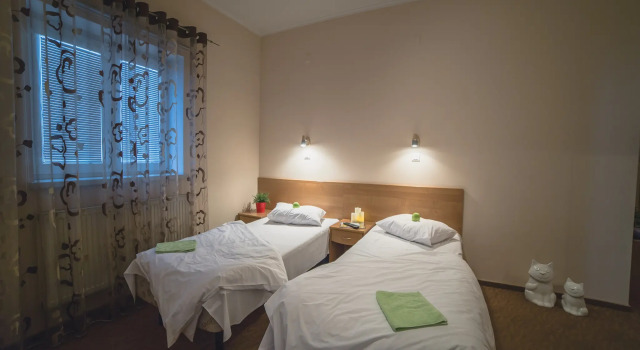 Двухместный номер Standard Мини-отель Dom Hotel Domodedovo
