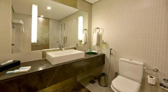 Двухместный номер Superior Excelsior Hotel Downtown