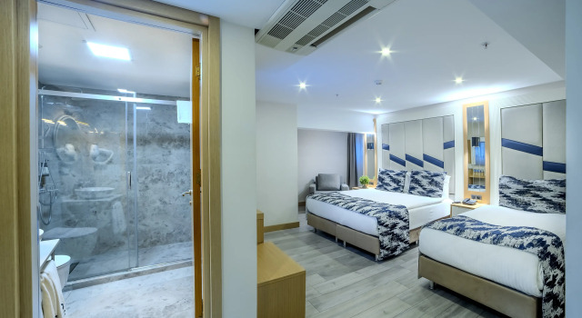Трёхместный номер Economy Downtown Sirkeci Hotel