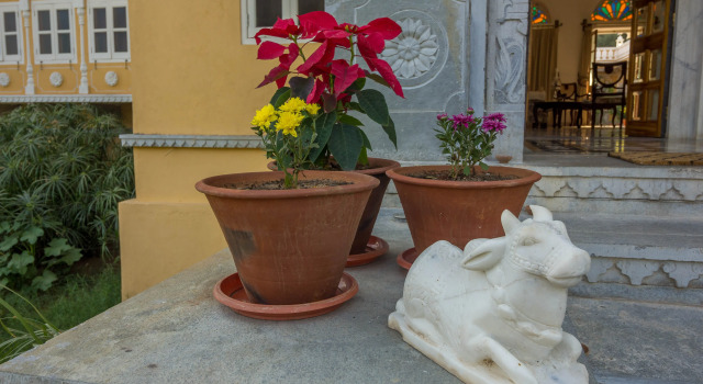 Suite Dev Shree Relais and Châteaux Luxury Hotel Deogarh