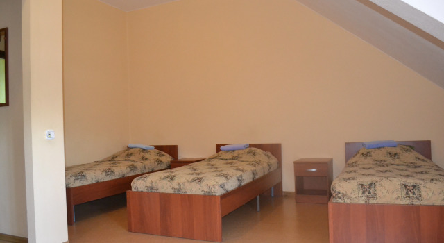 Camera tripla Standard mansarda U Petrovicha Mini-Hotel