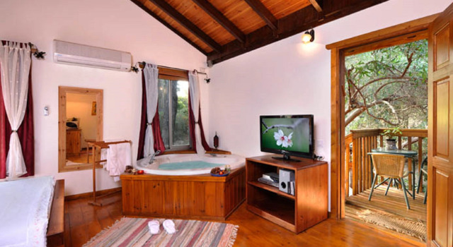 Люкс с красивым видом из окна Шале Tree House Chalets