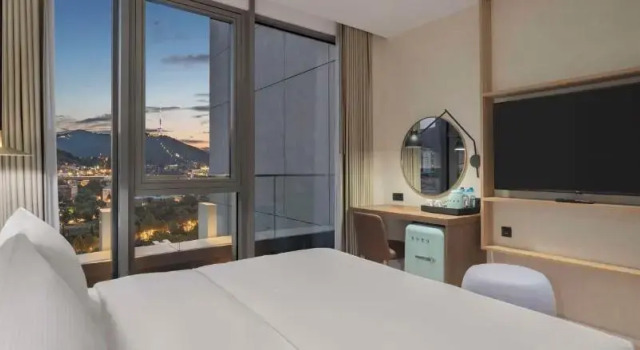 Двухместный номер Hilton Garden Inn Tbilisi Riverview