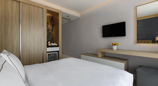 Двухместный номер Deluxe с видом на город Gleam Bomonti Hotel