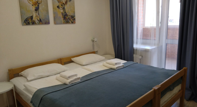 Standard Casal quarto com vista para a cidade Gogol Mini-hotel