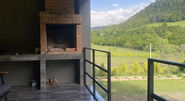 Apartments MTA-house borjomi, Varaa Huoneisto Sadgeri Samckhe Javakheti