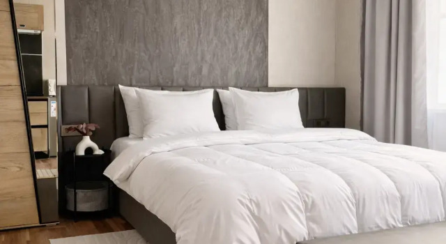 Студия с красивым видом из окна Гостевой дом Eva Apartments