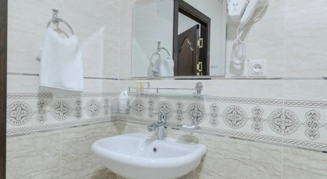 Двухместный номер Standard Бутик-отель HOTEL GRAND SHIRIN PALACE