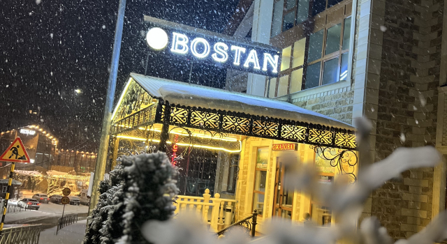 Отель Bostan
