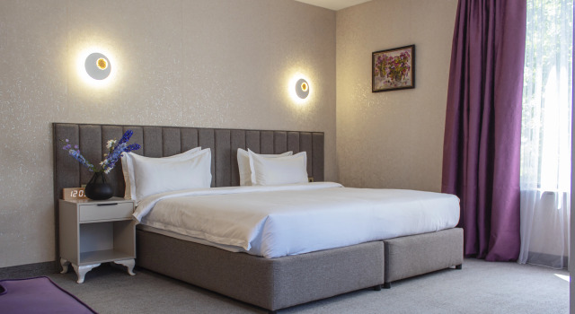 Двухместный номер Deluxe с красивым видом из окна Orient Hotel Bishkek (Ориент отель Бишкек)