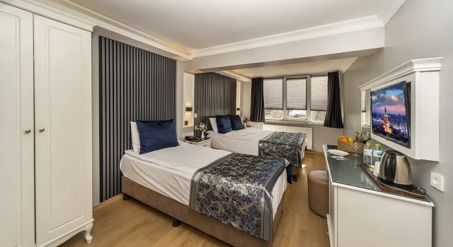 Трёхместный номер Standard с видом на город Отель Beyazit Palace