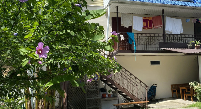 Vavilova 2  Guest house, Book Guesthouse Sukhum Abkhazia