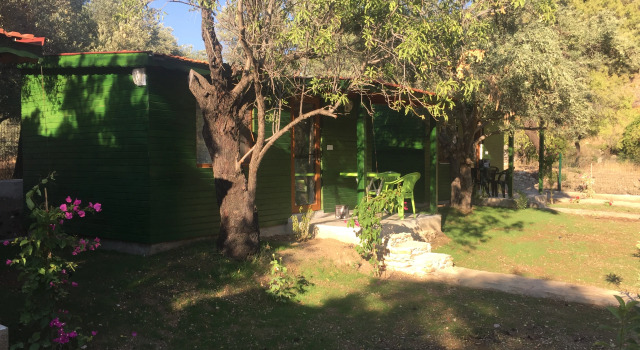 Отель My Bungalov