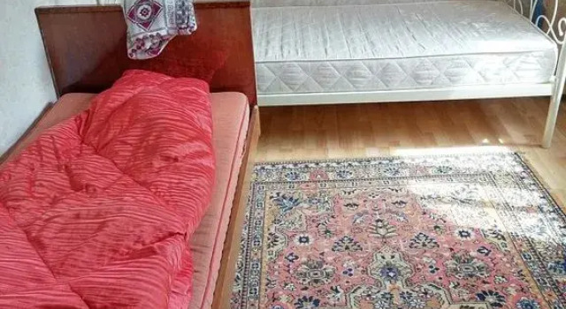 Квартира с видом на лес