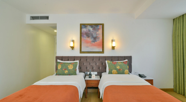 Двухместный номер Istanbul Life Hotel