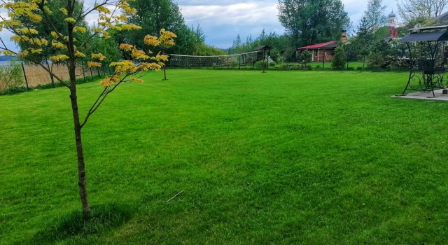 Дом Сорока