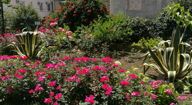 Guest House Villa Roza