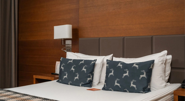 Номер Комфорт Отель Rosa Springs 5* - Life Balance Hotel