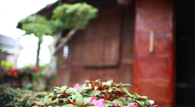 Гостевой Дом Petunia Garden Homestay
