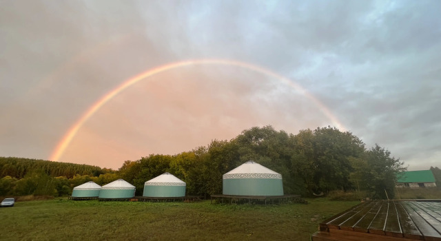 Глэмпинг Yurt resort