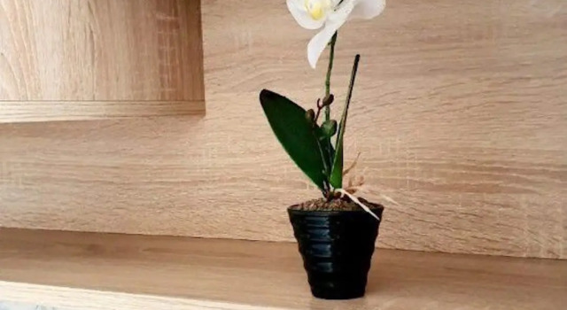 Na Ulitse Imeni Generala Karbysheva Flat, Prenota Appartamento Volzhskiy Volgograd Region