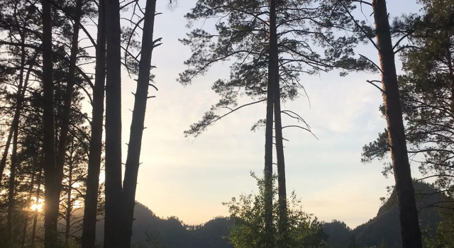 База отдыха Altai Star