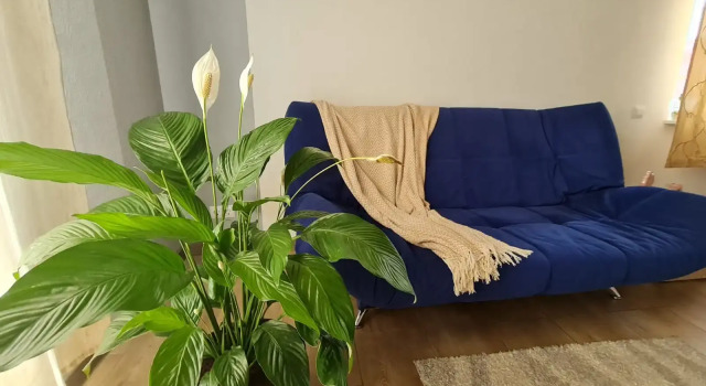 Коттедж с 4 комнатами с балконом и с красивым видом из окна Частный Дом Коттедж-Балтик 180м2 на Берегу Балтийского Моря