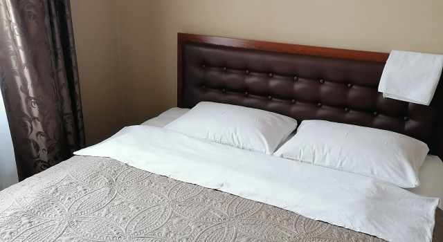 Номер Standard Логос