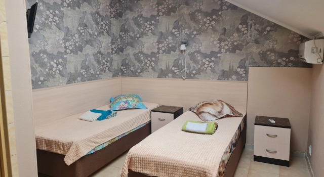 Economy Double Attic room DelfiniYa Mini-Hotel