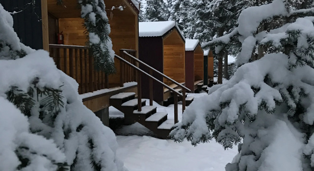 База отдыха Forest house resort