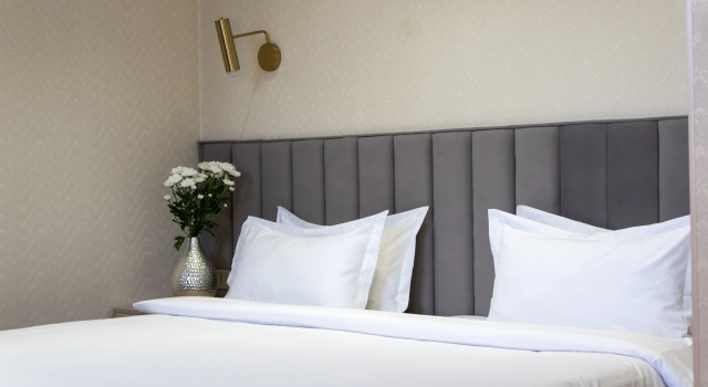 Двухместный номер Superior с красивым видом из окна Orient Hotel Bishkek (Ориент отель Бишкек)