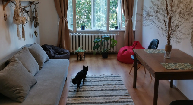 Hudozhnika U Lesa Apartments, Book Apartment Svetlogorsk 