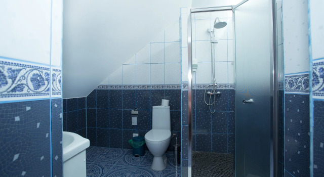 Двухместный номер Comfort с красивым видом из окна Мини-отель Серый гусь