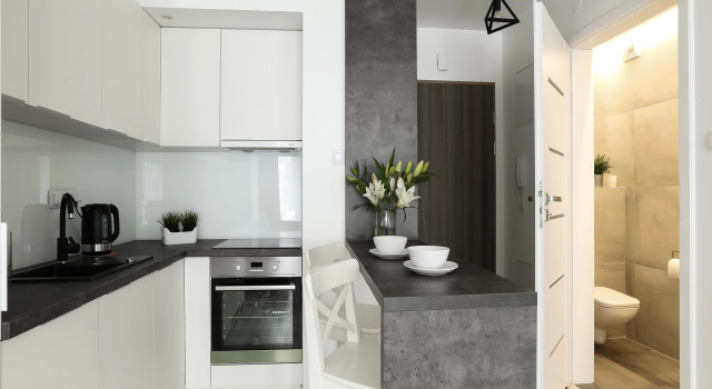 Люкс c 1 комнатой с балконом Апартаменты Emihouse Rzeszów