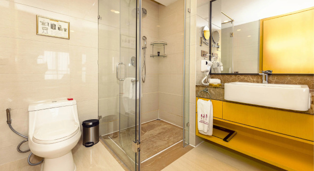 Двухместный номер Standard с красивым видом из окна Отель Hotels & Preference Hualing Tbilisi