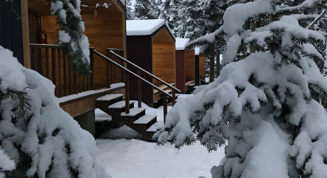 Двухместное шале Classic с красивым видом из окна База отдыха Forest house resort