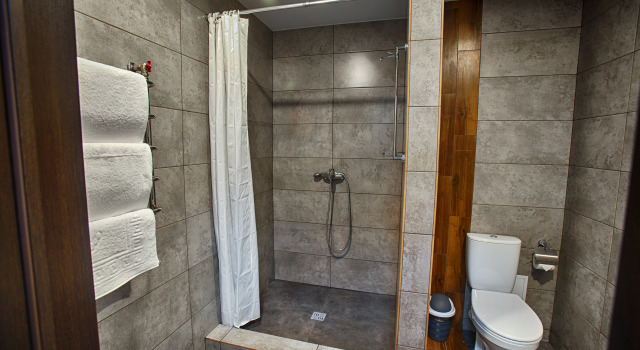 Двухместный номер Plus Standard Мансарда West Hotel