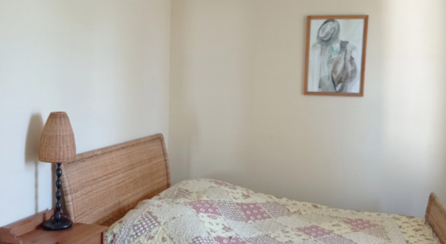 Одноместный номер Comfort Меблированные Комнаты Саттва