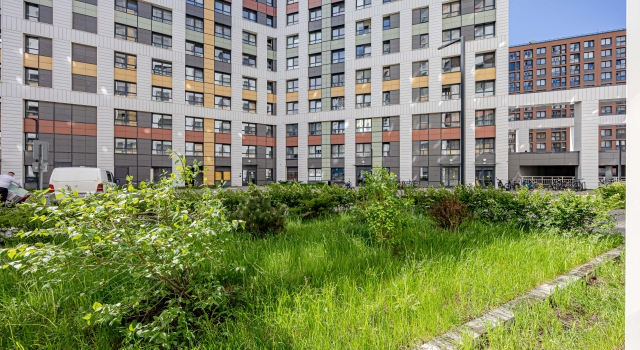 Na 4-kh U Lesoparka Novy Zhk Forest Primorskiy Rayon Flat, Buchen Sie Ferienwohnung Hotels in Primorsky mit Pool, Schwimmbad
