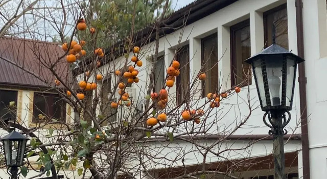 Отель Андалусия